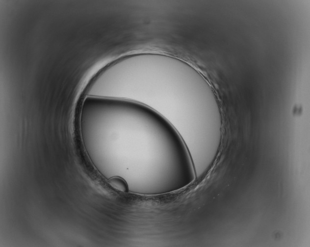 X0000101390200200807071013