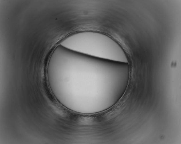 X0000101390202200807071013
