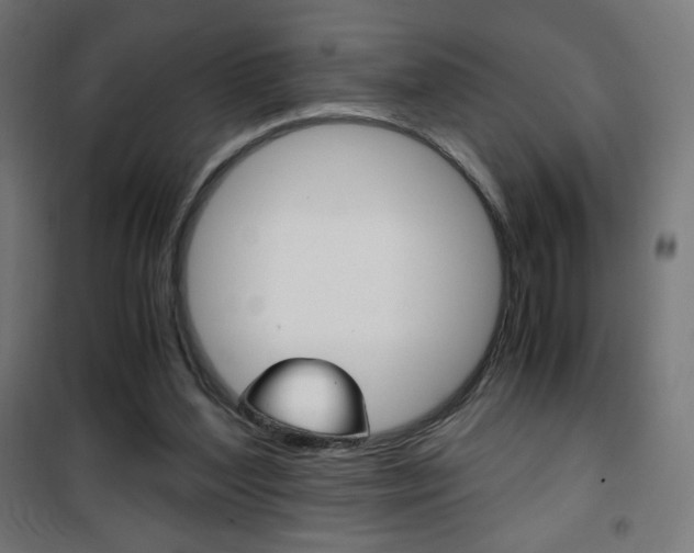 X0000101390204200807071013