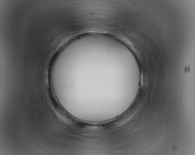 X0000101390205200807071013