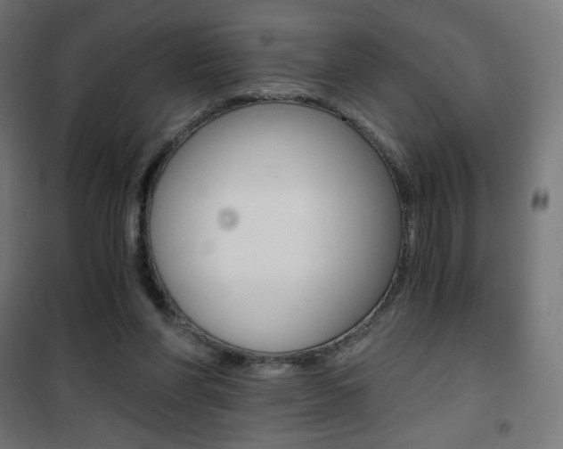 X0000101390206200807071013