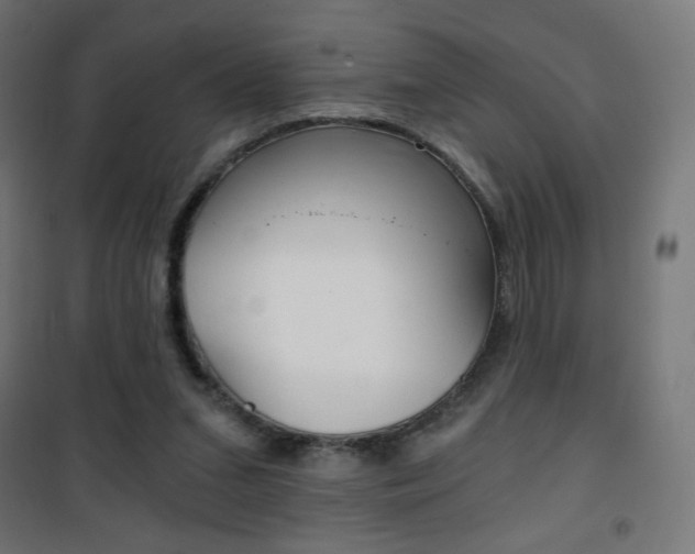 X0000101390207200807071013