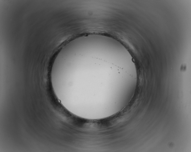 X0000101390211200807071013