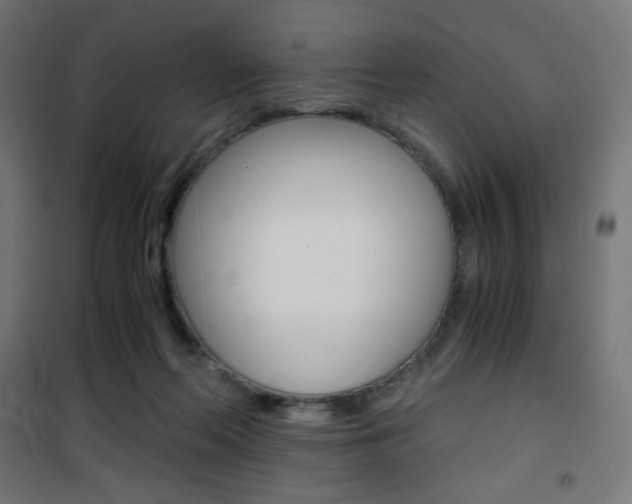 X0000101390214200807071012