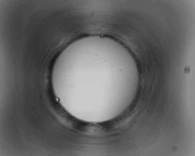 X0000101390215200807071012