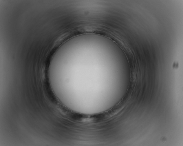 X0000101390216200807071012