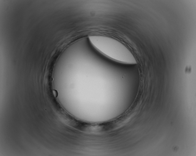 X0000101390217200807071012