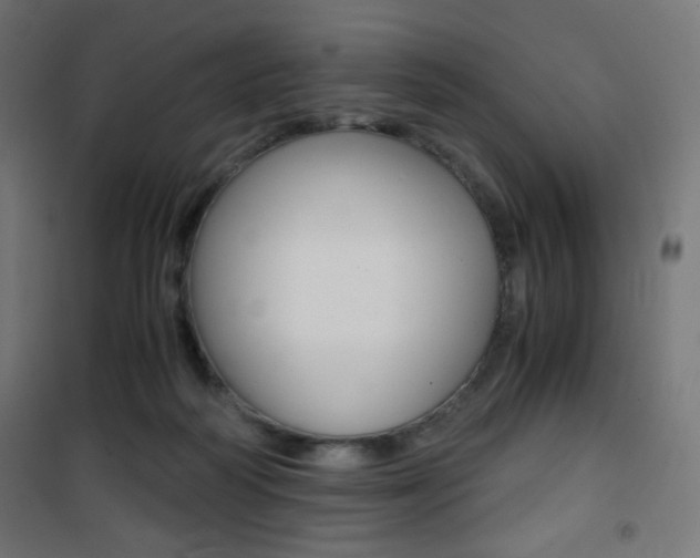 X0000101390218200807071012
