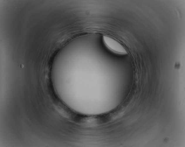 X0000101390219200807071012