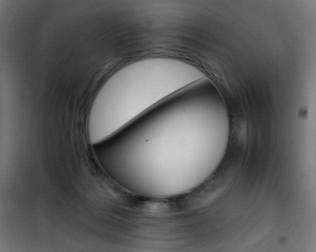 X0000101390220200807071012