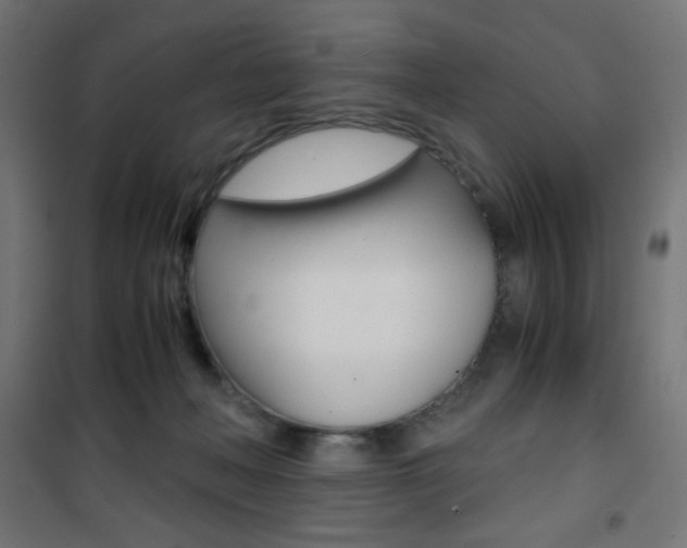 X0000101390222200807071012