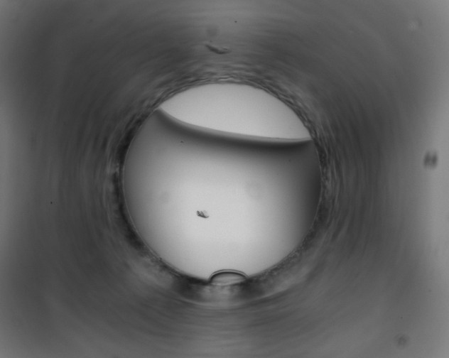 X0000101390225200807071012