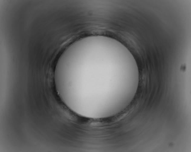X0000101390228200807071012