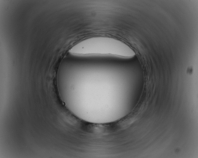 X0000101390229200807071012