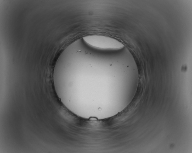 X0000101390233200807071012