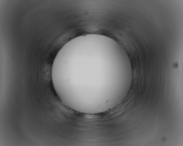 X0000101390234200807071012