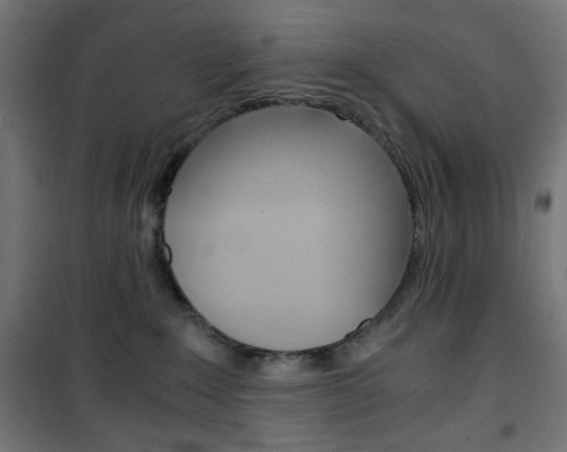 X0000101390235200807071012