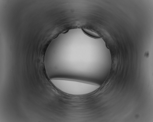X0000101390236200807071012