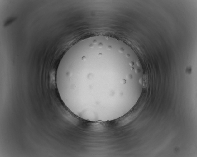 X0000101390238200807071012