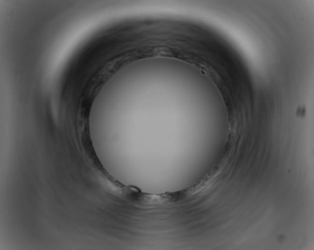 X0000101390239200807071012