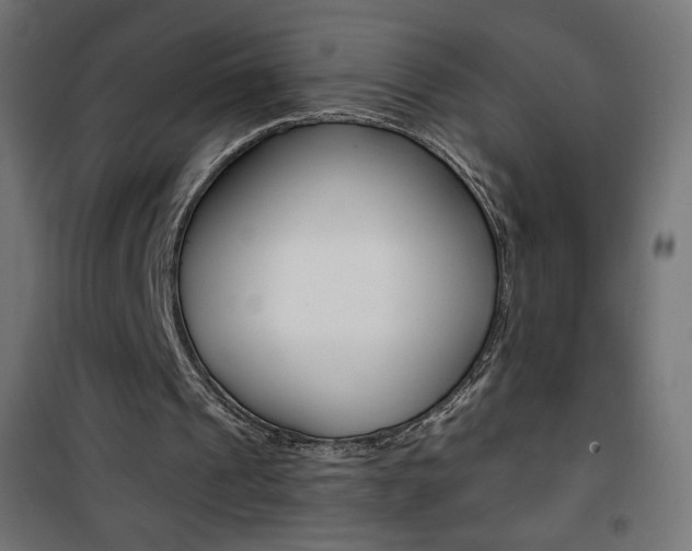 X0000101390241200807071011