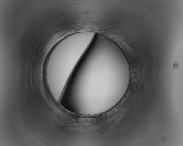 X0000101390242200807071011