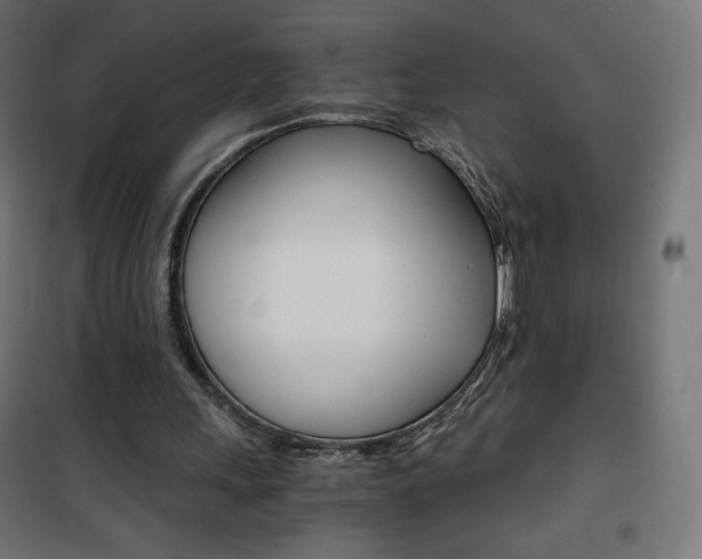 X0000101390243200807071011