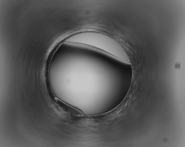 X0000101390244200807071011