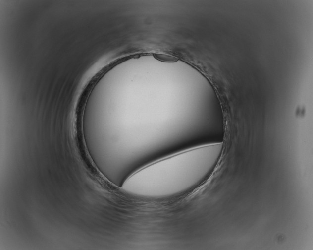 X0000101390246200807071011