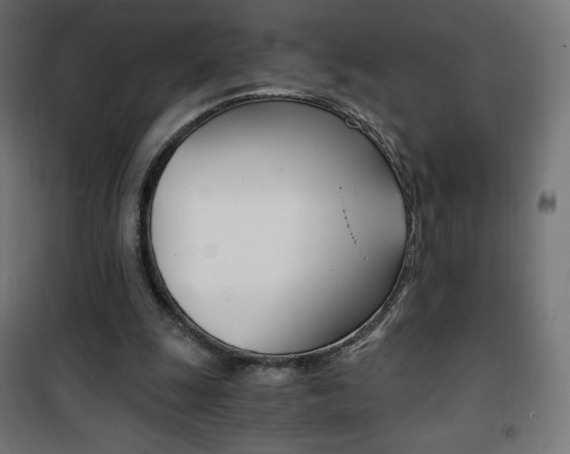 X0000101390247200807071011