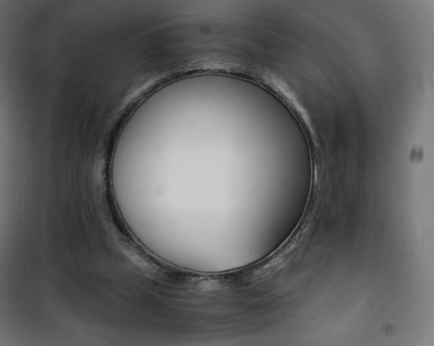 X0000101390249200807071011