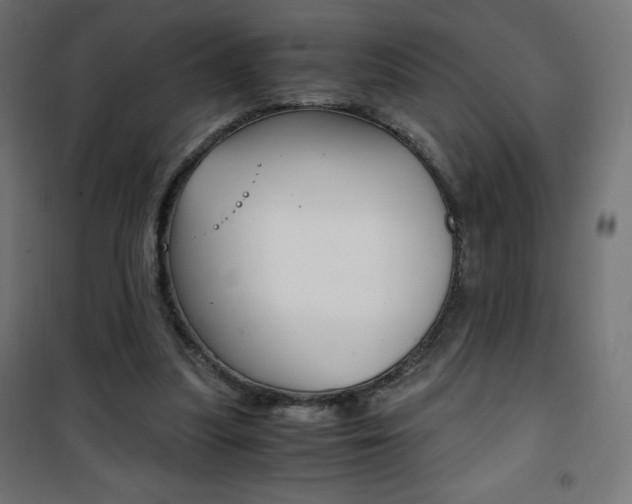 X0000101390251200807071012