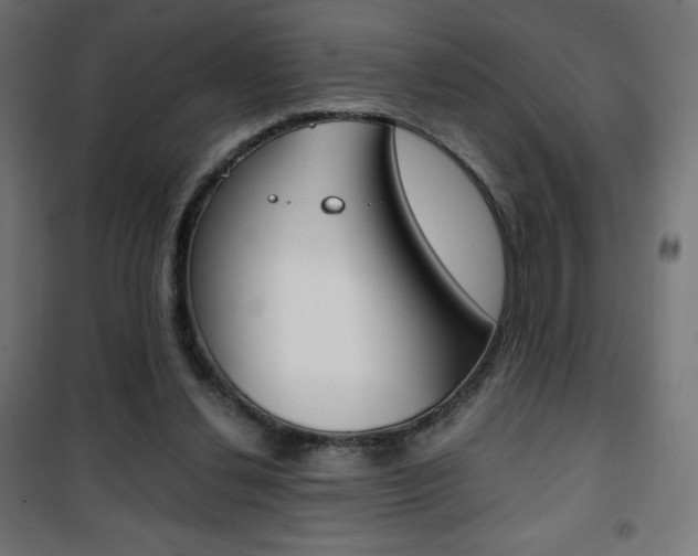 X0000101390252200807071012
