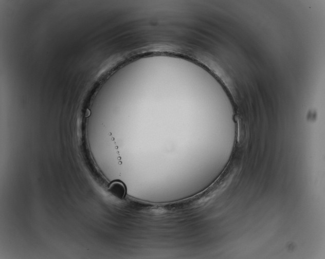X0000101390253200807071012