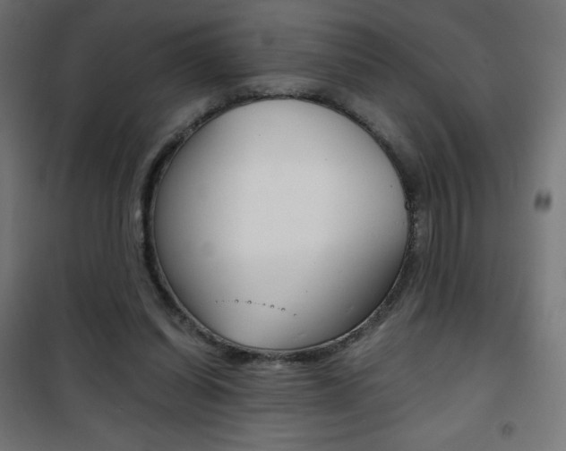 X0000101390254200807071012