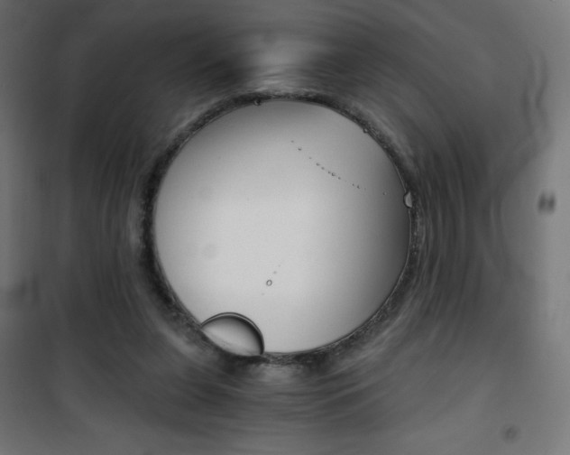 X0000101390255200807071012