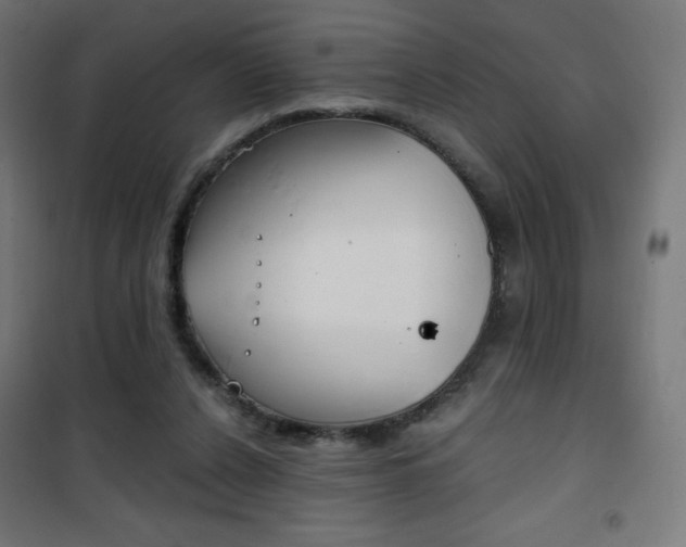 X0000101390256200807071012