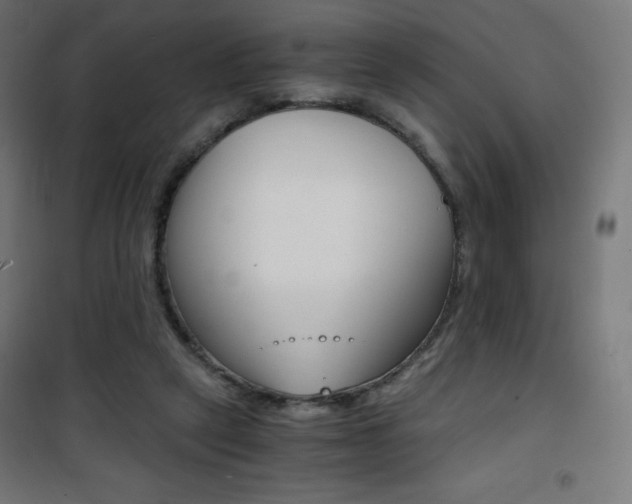 X0000101390257200807071012