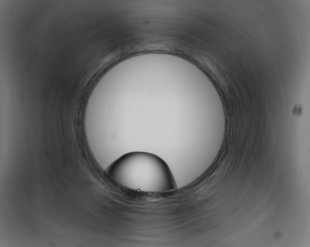 X0000101390260200807071012