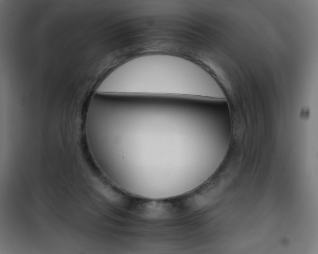X0000101390261200807071012