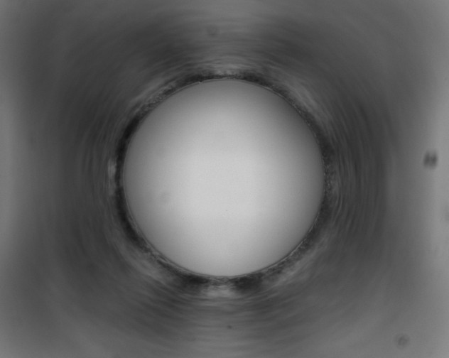 X0000101390262200807071012