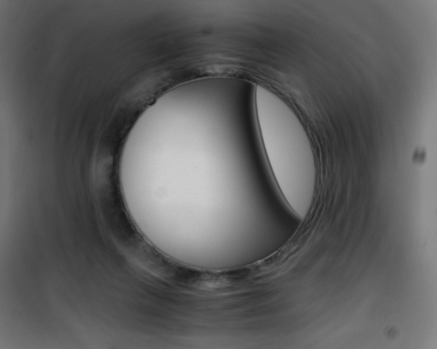 X0000101390263200807071012