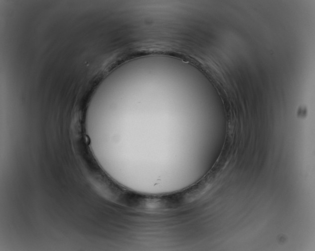 X0000101390264200807071012