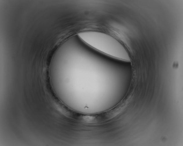 X0000101390265200807071012
