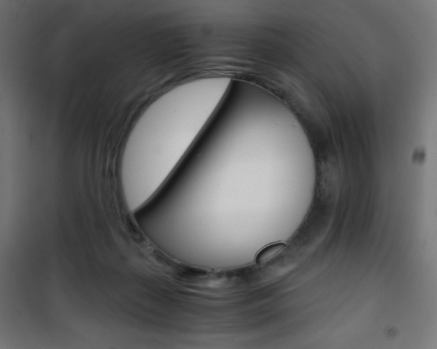 X0000101390267200807071012