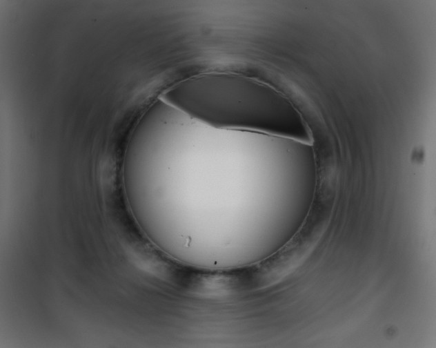 X0000101390268200807071012
