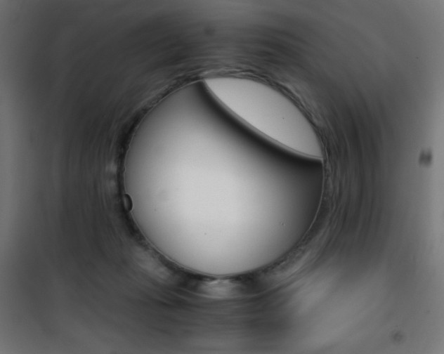 X0000101390269200807071012