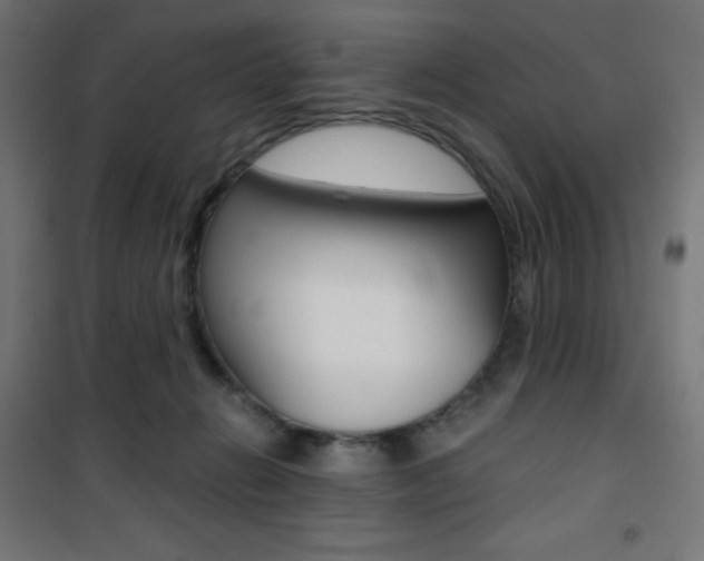 X0000101390270200807071012