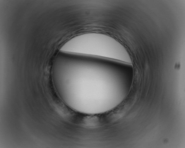 X0000101390271200807071012