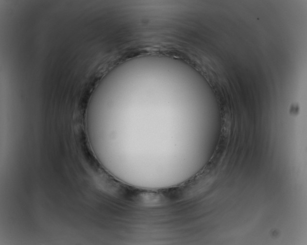 X0000101390272200807071012